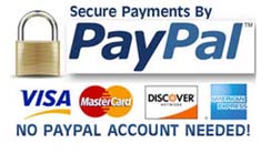 Pay for Process Service to AVALON